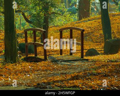 Un jour ensoleillé d'automne dans le parc de la ville d'Ilowa.Une passerelle en bois avec des rampes brunes sur le ruisseau. Banque D'Images