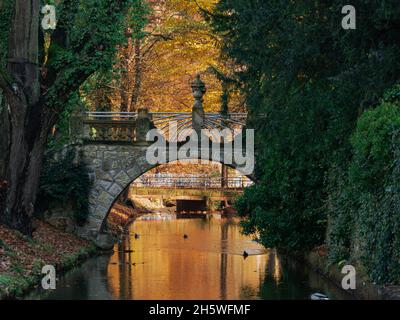 Parc du Manoir dans la ville d'Ilowa en Pologne.Une petite rivière étroite.Il y a un ancien pont en pierre pour l'orgueil au-dessus de la rivière.C'est l'automne. Banque D'Images