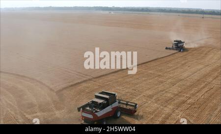 En arrière-plan, la moissonneuse-batteuse recueille les restes de blé.Les nouvelles récolteuses récoltent du blé sur le terrain.Vue panoramique sur le champ de colle Banque D'Images