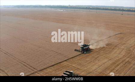 En arrière-plan, la moissonneuse-batteuse recueille les restes de blé.Les nouvelles récolteuses récoltent du blé sur le terrain.Vue panoramique sur le champ de colle Banque D'Images