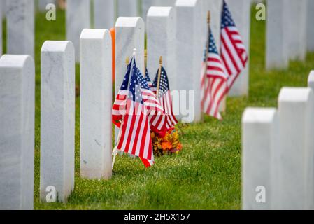 Pennsylvanie, États-Unis.11 novembre 2021.Des drapeaux américains sont mis sur des tombes pour la fête des anciens combattants, le jeudi 11 novembre 2021, à Washington Crossing, dans le cimetière national de Washington Crossing, en Pennsylvanie.( Credit: William Thomas Cain/Alamy Live News Credit: William Thomas Cain/Alamy Live News Banque D'Images