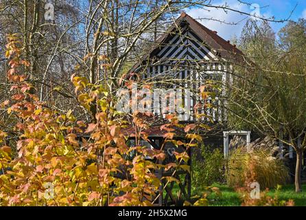 Leipe, Allemagne.09ème novembre 2021.Une maison traditionnelle en bois dans le village de Leipe de Spreewald.Credit: Patrick Pleul/dpa-Zentralbild/ZB/dpa/Alay Live News Banque D'Images