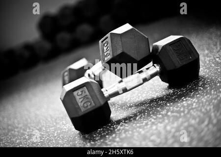 Dumbells sur le sol dans une salle de sport crossfit Banque D'Images