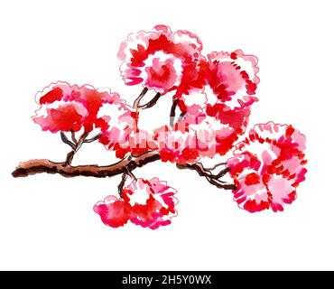 Cerisier en fleur.Dessin à l'encre et aquarelle Banque D'Images