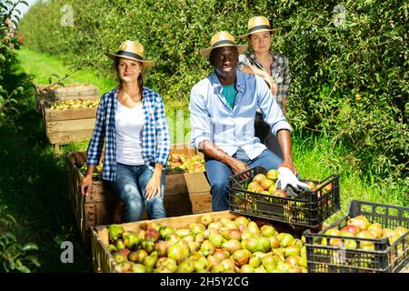 Les agriculteurs se tenant avec la récolte dans le verger Banque D'Images