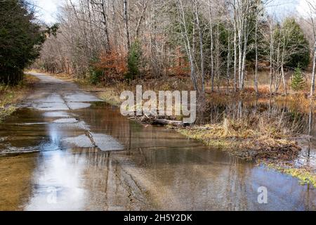 L'eau s'écoulant sur la route en raison du barrage de castor bloquant le ponceau sous la route avec de la boue et des bâtons dans la nature sauvage des montagnes Adirondack. Banque D'Images