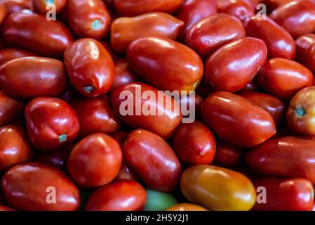 Tomates rouges en vente au célèbre et grandiose Sao Joaquim Fair à Salvador, Bahia, Brésil. Banque D'Images