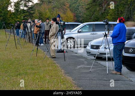 Photographes attendant le lever du soleil sur la Foothills Parkway, près de Townsend, Tennessee, États-Unis Banque D'Images