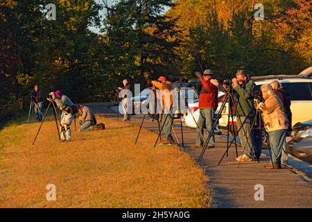 Photographes attendant le lever du soleil sur la Foothills Parkway, Townsend, Tennessee, États-Unis Banque D'Images