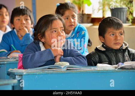 Élèves du primaire en classe à l'école Nono, Nono, Pichincha, Equateur Banque D'Images