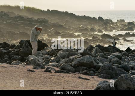 Photographe touristique, Parc national des îles Galápagos, San Cristobal, île de Lobos, Équateur Banque D'Images