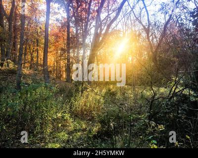 Parc historique national de Cedar Creek et Belle Grove en Virginie Banque D'Images