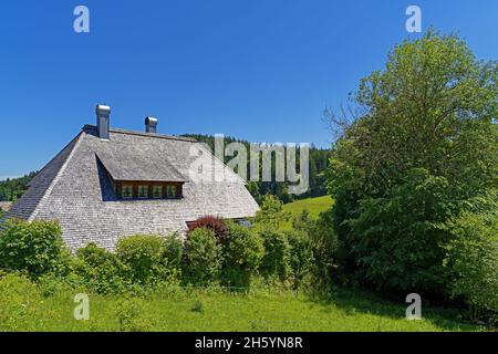 Europe, Allemagne, Bade-Wurtemberg, Hinterzarten, Erlenbrucker Straße,Haus, Füllingen, Pflanzen,Gebäude, Architektur, Banque D'Images