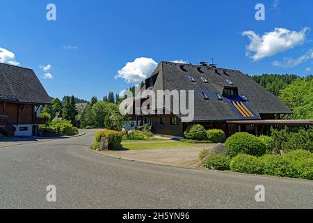 Europe, Allemagne, Bade-Wurtemberg, Hinterzarten, Adlerplatz,Säßenansicht, Häuser, typisch, Sehenswürdigkeit, Tourismus,Bäume, Pflanzen, Gebäu Banque D'Images