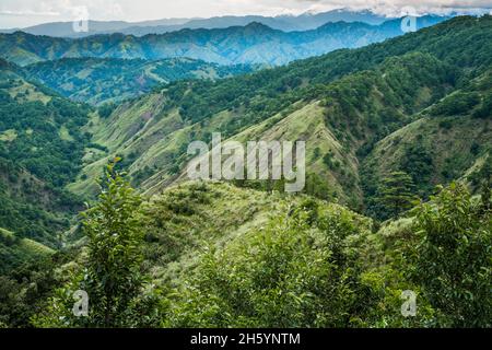 Juillet 2017.Les forêts de pins au-dessus de Malico sont où les habitants sont autorisés à récolter du bois pour une utilisation de subsistance.La vue est dominée par des preuves de développement, y compris des coteaux en terrasse et des zones défrichées sur la plupart des crêtes.L'aulne japonais (Almus sp) vu au premier plan a été planté dans une tentative de reboiser le paysage et de ramener l'azote dans le sol.Malico, Nueva Vizcaya, Philippines. Banque D'Images