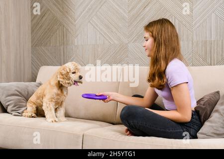 Adolescente jouant avec un spaniel tout en étant assise sur un canapé dans le salon Banque D'Images