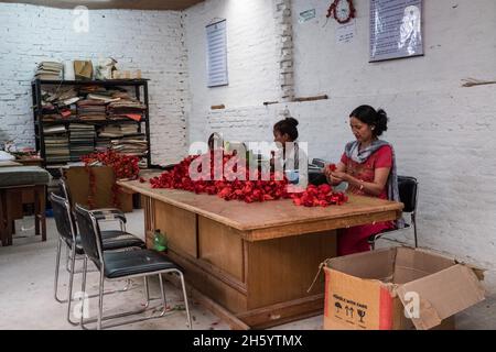 Octobre 2017.Papier d'écorce de lokta fleurs de rhododendron en train d'être fait pour Aveda à Himalayan Bio Trade Pvt.Ltd. Katmandou, Népal. Banque D'Images