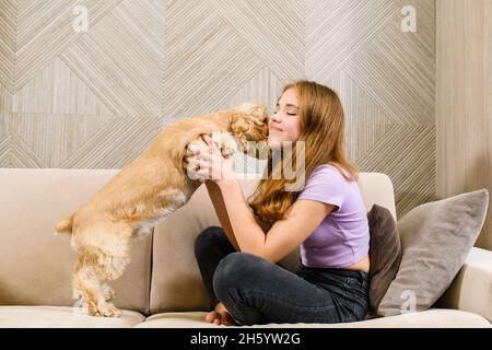 Adolescente jouant avec un spaniel tout en étant assise sur un canapé dans le salon.Un spaniel américain se régle face d'une adolescente. Banque D'Images