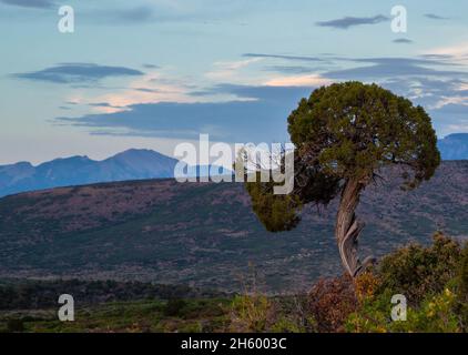 Parc National Black Canyon of the Gunnison Banque D'Images