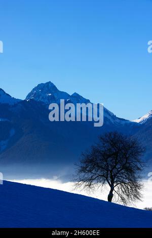 FRANCE, HAUTE SAVOIE ( 74 ), ANNECY, LE PARC NATUREL DE HTE BAUGES VU DU COL DE LA FORCLAZ AU-DESSUS DU LAC D'ANNECY Banque D'Images