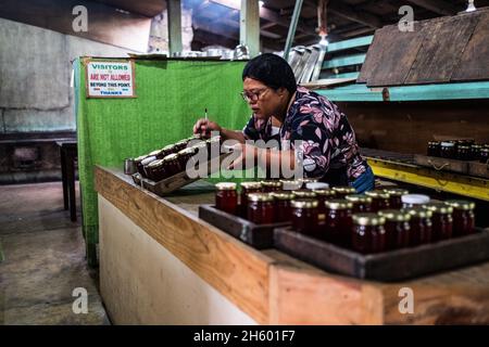 Juillet 2017.Elizabeth Palcay, chef cuisinier, effectue les contrôles de qualité finaux et termine l'emballage de la gelée d'hibiscus.La Kalihan Educational Foundation (KEF) gère une petite confiture, gelée, et d'autres aliments préparés faisant opération dans le cadre de leurs programmes de développement d'entreprise.Imugan, Nueva Vizcaya, Philippines. Banque D'Images