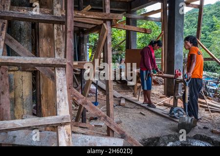 Juillet 2017.Les locaux sont autorisés à récolter du bois de la forêt pour une utilisation de subsistance comme la construction de maisons.Malico, Nueva Vizcaya, Philippines. Banque D'Images