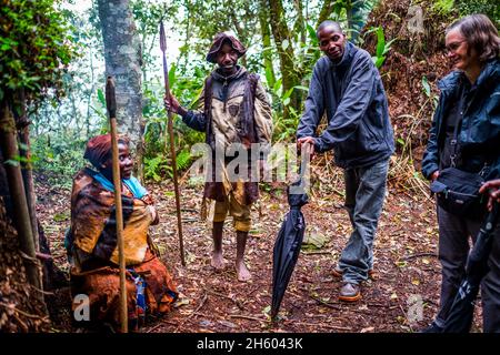 Septembre 2017.Le guide, Phillip Byarugaba, travaille pour la Nkuringo Community conservation and Development Foundation (NCCDF) qui accueille la visite du sentier forestier de la communauté de Buniga.Phillip traduit pour le guide Batwa qui partage sa culture dans sa langue locale.Les Pygmées Batwa ont été expulsées de leurs terres d'origine dans la forêt au début des années 1990, lorsque les parcs nationaux ont été établis, les laissant sans terre et pauvres dans une société qui les considérait comme une classe inférieure.Aujourd'hui, certains d'entre eux essaient de faire la rencontre des extrémités en organisant des promenades sur les sentiers; des visites culturelles qui incluent des exemples de l'endroit et de la façon dont ils utilisent pour vivre dans le Banque D'Images