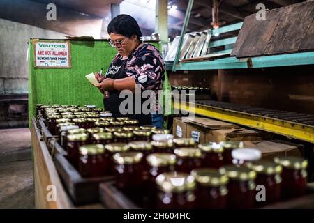 Juillet 2017.Elizabeth Palcay, chef cuisinier, effectue les contrôles de qualité finaux et termine l'emballage de la gelée d'hibiscus.La Kalihan Educational Foundation (KEF) gère une petite confiture, gelée, et d'autres aliments préparés faisant opération dans le cadre de leurs programmes de développement d'entreprise.Imugan, Nueva Vizcaya, Philippines. Banque D'Images