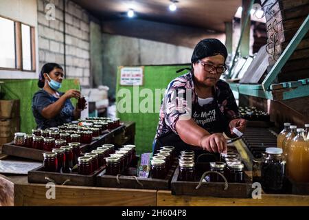 Juillet 2017.Elizabeth Palcay, chef cuisinier, effectue les contrôles de qualité finaux et termine l'emballage de la gelée d'hibiscus.La Kalihan Educational Foundation (KEF) gère une petite confiture, gelée, et d'autres aliments préparés faisant opération dans le cadre de leurs programmes de développement d'entreprise.Imugan, Nueva Vizcaya, Philippines. Banque D'Images