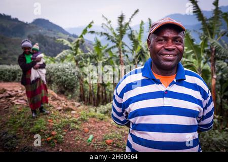 Septembre 2017.Simeo Ntawuruhunga a reçu une vache de la Nkuringo Community conservation and Development Foundation (NCCDF) dans le cadre de son programme de génisses.Il élève la vache, maintient le veau ainsi commencer à construire son troupeau, et passe la vache originale à la suivante dans la ligne dans le programme de génisses.Il a maintenant 6 vaches produisant du lait qu'il peut vendre localement.Les taureaux à la naissance sont vendus pour la viande.Nkuringo, Ouganda. Banque D'Images