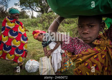 Septembre 2017.Les Pygmées Batwa ont été expulsées de leurs terres dans la forêt au début des années 1990, lorsque le parc national de Mghinga Gorilla a été établi, les laissant sans terre et pauvres dans une société qui les considérait comme une classe inférieure.Aujourd'hui, certains d'entre eux essaient de faire la rencontre des extrémités en organisant des promenades sur les sentiers; des visites culturelles qui incluent des exemples de l'endroit et de la façon dont ils utilisent pour vivre dans la forêt, ainsi que du chant, de la danse et de l'artisanat pour la vente.Parc national de Mgahinga Gorilla, Ouganda.. Banque D'Images