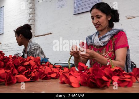 Octobre 2017.Papier d'écorce de lokta fleurs de rhododendron en cours de fabrication pour l'emballage d'Aveda à Himalayan Bio Trade Pvt.Ltd. Katmandou, Népal. Banque D'Images