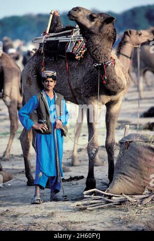 Pakistan, Balouchistan, foire annuelle de chameaux de Sibi Banque D'Images