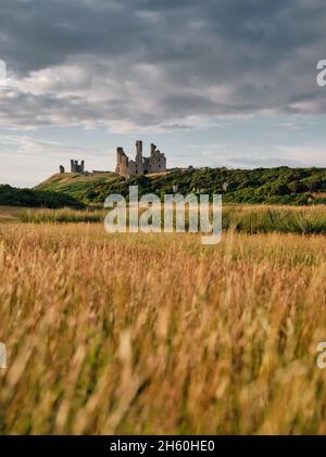 La prairie d'été et les ruines du château de Dunstanburgh paysage - fortification de 14th-siècle dans le nord de l'Angleterre de CRAster Northumberland Banque D'Images