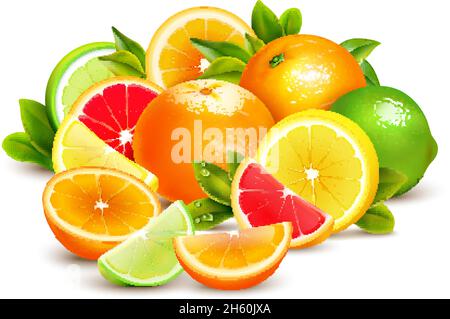 Agrumes demi-moitiés entières et quartiers de composition colorée à la chaux pamplemousse citron et oranges illustration vectorielle réaliste Illustration de Vecteur