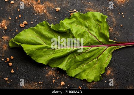 Gros plan d'une feuille de betterave. Banque D'Images