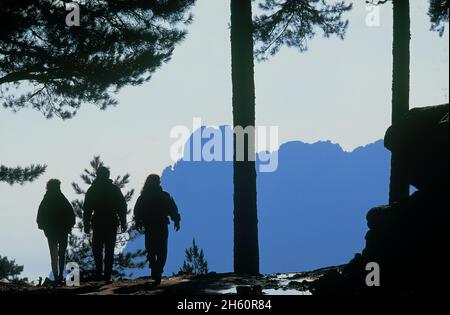 FRANCE, CORSE ( 2A ), ZONZA, LE CÉLÈBRE SENTIER GR20 AUX AIGUILLES DE BAVELLA Banque D'Images