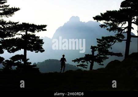 FRANCE, CORSE ( 2A ), ZONZA, FEMME ENTRE LE PIN CORSE SUR LE CÉLÈBRE SENTIER GR20 AUX AIGUILLES DE BAVELLA Banque D'Images