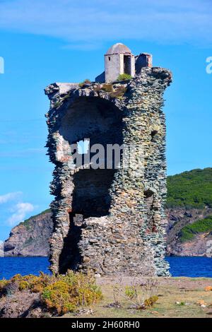 FRANCE, CORSE ( 2B ) MACINAGGIO, LE NORD DE L'ÎLE DE CORSE AVEC L'ANCIENNE TOUR GENOVESE DU 14 EME SIÈCLE APPELÉE SANTA MARIA Banque D'Images