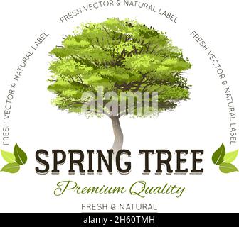Logo typographique avec arbre de printemps vert réaliste et haut de gamme illustration vectorielle de texte de qualité Illustration de Vecteur