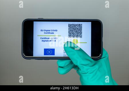 Certificat de carte verte numérique de l'UE sur téléphone mobile Banque D'Images