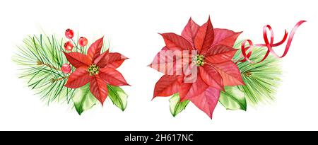 Collection bouquets de Noël.Deux compositions avec baies de houx, fleur de poinsettia, branches de pin.Illustration de l'aquarelle peinte à la main pour l'hiver Banque D'Images