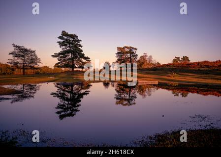 Une belle scène de paysage de réflexion au crépuscule montrant les couleurs automnales des fougères dans le New Forest Hampshire Angleterre. Banque D'Images