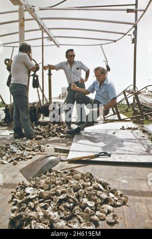 Les oystermen du lac Borgne prétendent que les eaux d'inondation du fleuve Mississippi ont pollué leurs lits d'huîtres.À bord du bateau du capitaine Pete Tesvich, ils recueillent des preuves de leur cas.Pour le dépôt, les hommes essaient d'établir un ratio de mortalité.Ici, ils placent des huîtres mortes et mourantes sur le pont en piles séparées; Louisiane ca.Juin 1973 Banque D'Images