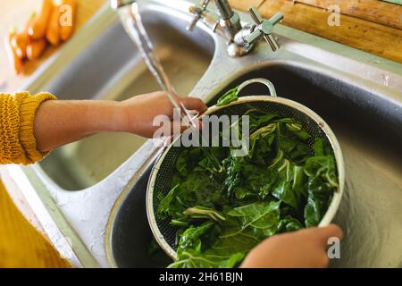 Mains de la jeune femme lavant des légumes verts à feuilles dans de la passoire sous l'eau dans l'évier de cuisine Banque D'Images