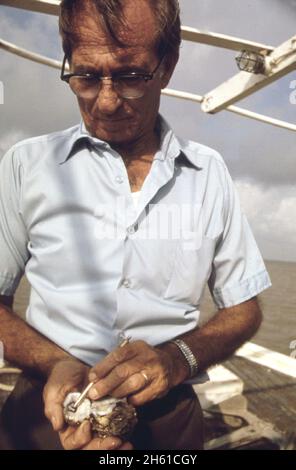 Les oystermen du lac Borgne prétendent que les eaux d'inondation du fleuve Mississippi ont pollué leurs lits d'huîtres.Certains des hommes préparent un dépôt légal.À bord du bateau du capitaine Pete Tesvich, ils recueillent des preuves de leur cas.Le groupe de Tesvich est monté à bord d'un bateau transportant un groupe d'ingénieurs du corps de l'armée américaine. Ensemble, ils examinent les huîtres mortes et malades.Un oysterman sonde une huître malade; Louisiane ca.Juin 1973 Banque D'Images