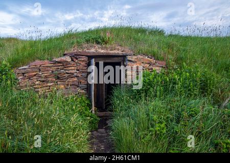 Cave à racines, Elliston, Terre-Neuve-et-Labrador, T.-N.-L., Canada Banque D'Images