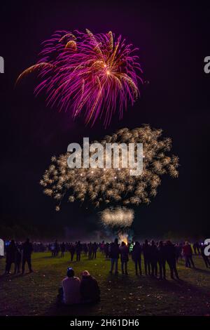 Feu d'artifice commercial dans un grand champ ouvert le 5th novembre, Guy Fawkes nuit en Angleterre, Royaume-Uni. Banque D'Images