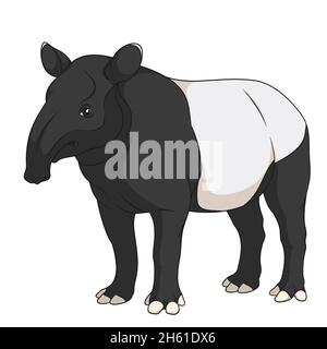 Illustration couleur d'un tapir noir malais.Objet vectoriel isolé sur fond blanc. Illustration de Vecteur