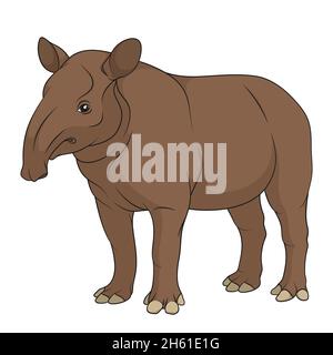 Illustration couleur d'un tapir Uni.Objet vectoriel isolé sur fond blanc. Illustration de Vecteur